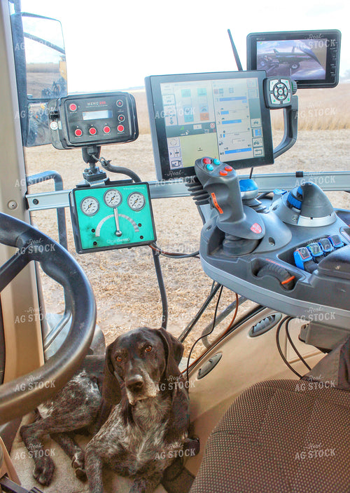 Farm Dog in Tractor 141063