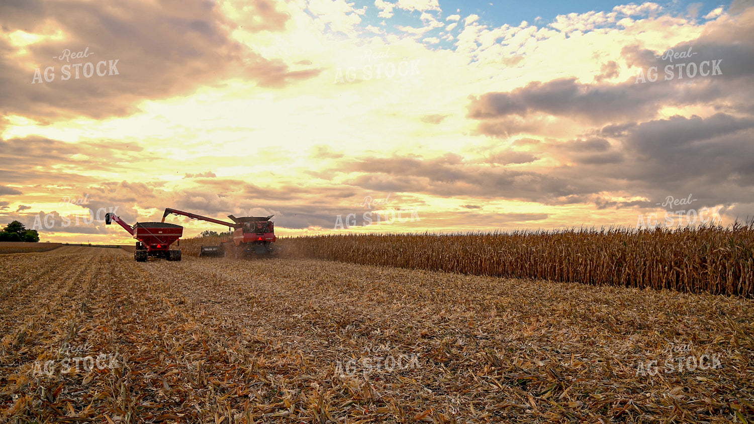 Combine Unloading Corn into Auger Wagon on the Go 25645