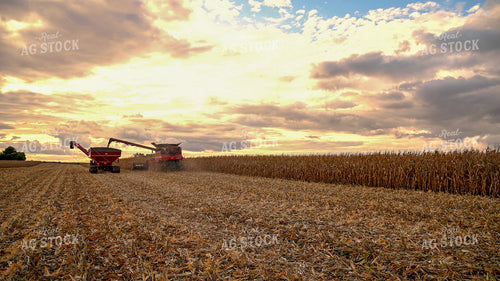 Combine Unloading Corn into Auger Wagon on the Go 25645