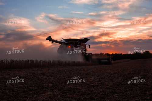 Soybean Harvest 132099