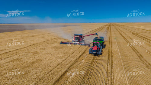 Wheat Harvest 199047