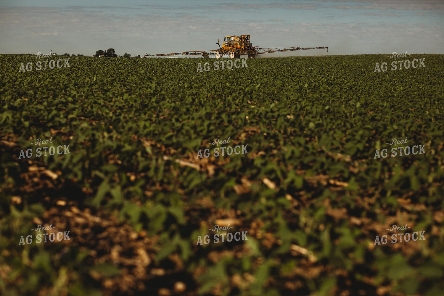 Spraying Soybeans 4340