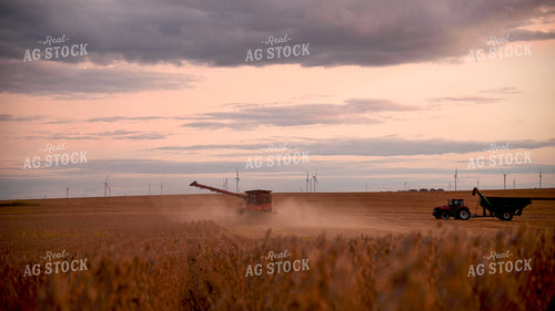 Grain Cart Driving to Meet Combine Harvesting Soybeans 25750