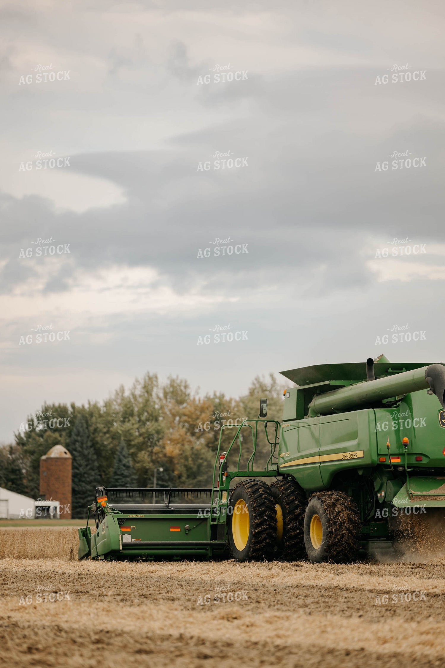 Harvesting Soybeans 152888