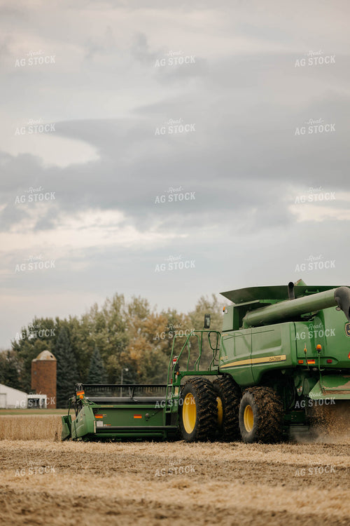 Harvesting Soybeans 152888