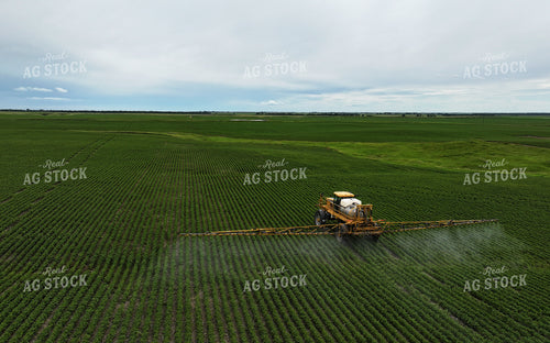Spraying 141152