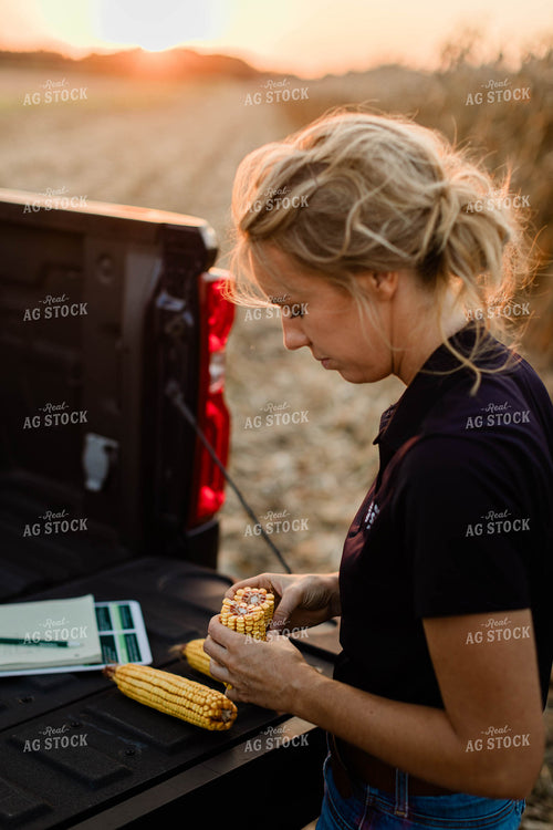 Female Agronomist Checking Corn 8348