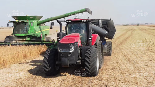 Soybean Harvest 287030