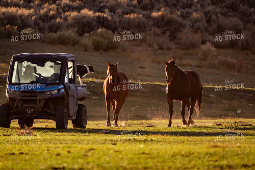 Ranchers in ATV 163008
