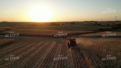 Aerial of Corn Harvest 268050