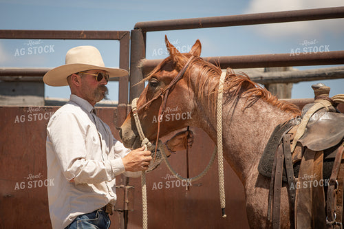 Training Colts 78246