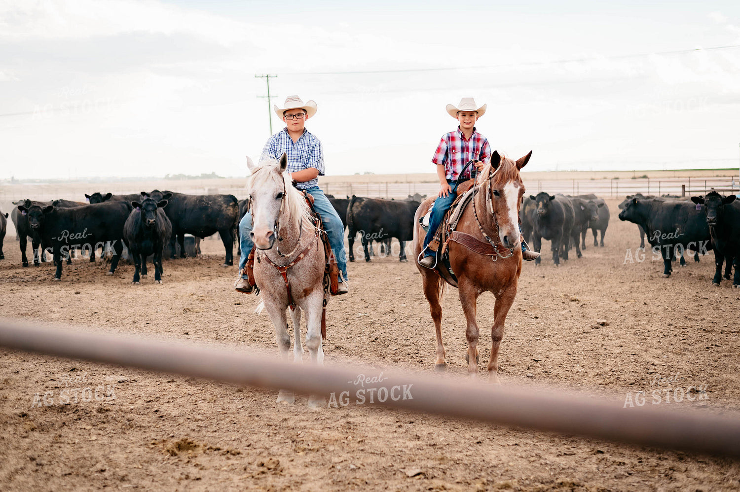 Ranch Kids on Horseback at Feedyard 218037