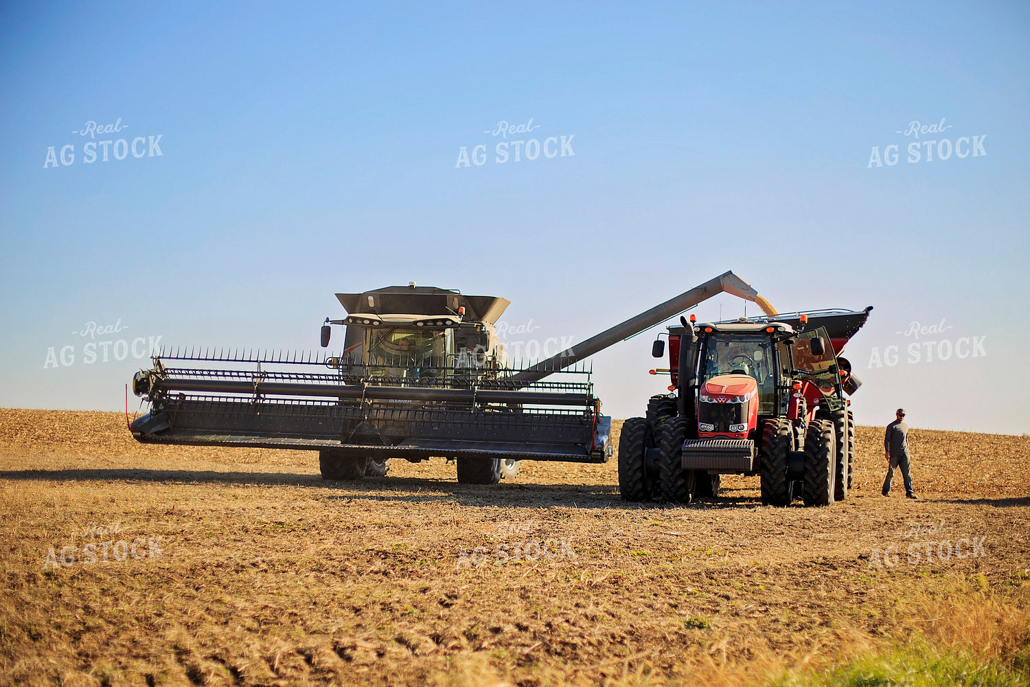 Combine Unloading into Grain Cart 93073