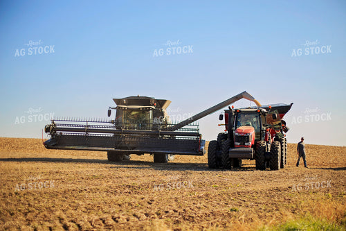 Combine Unloading into Grain Cart 93073