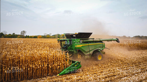 Corn Harvest 273023