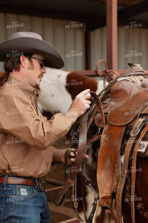 Saddling Horse 205128