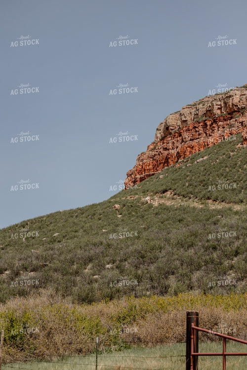 Scenic Pasture 104109