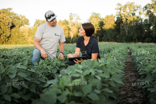 Agronomist and Farmer Scouting Soybean Field 6107