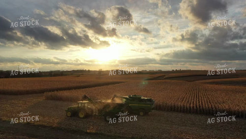 Aerial of Corn Harvest 250030