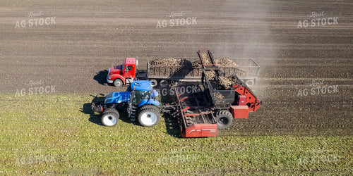 Sugar Beet Harvest 255000