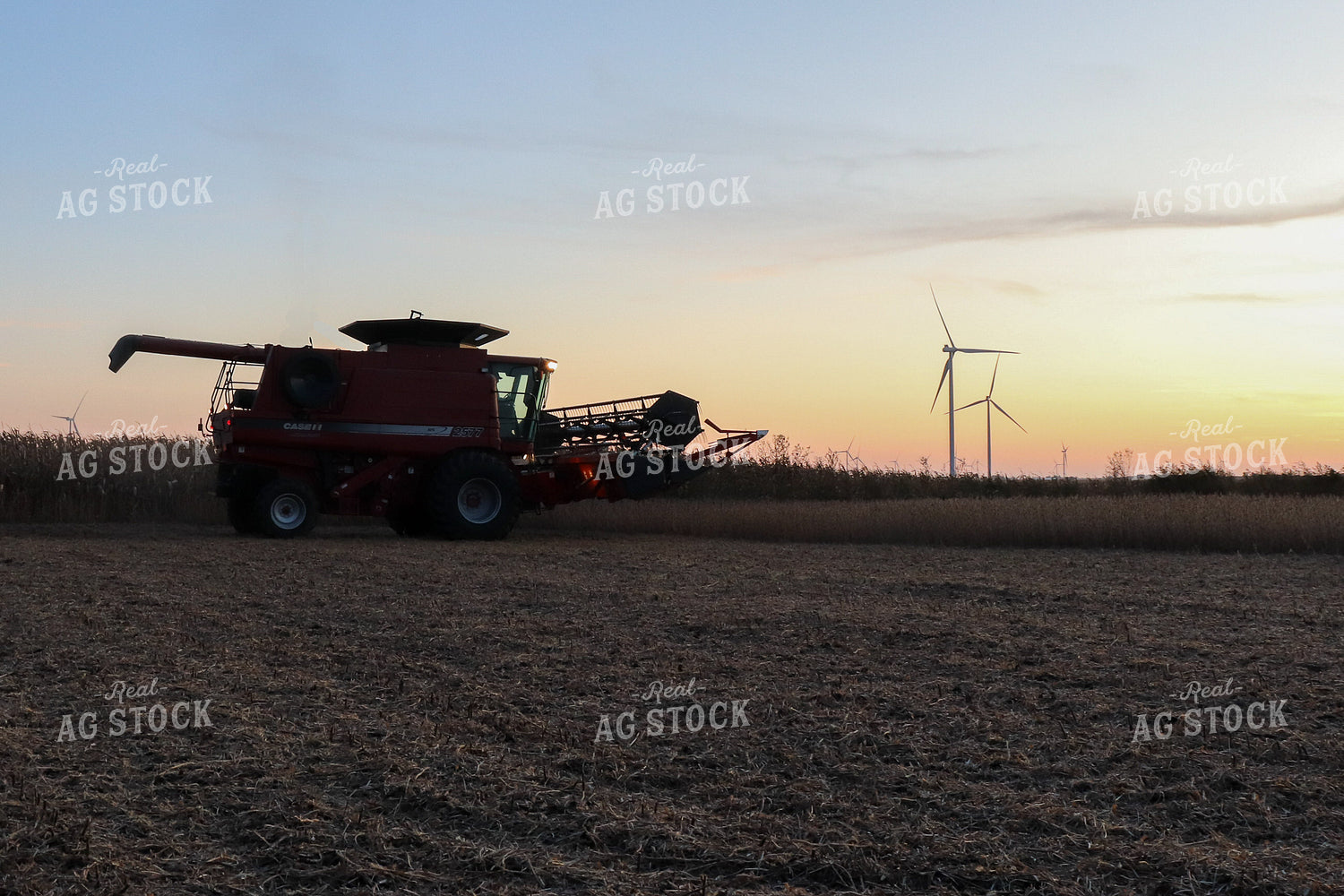 Dried Soybeans with Combine Silhouette 67024
