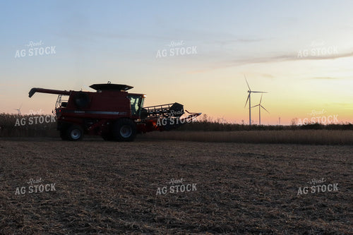 Dried Soybeans with Combine Silhouette 67024