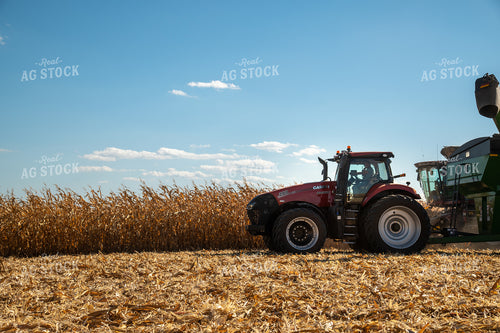 Combine and Grain Cart Harvesting Corn on Sunny Day 25921