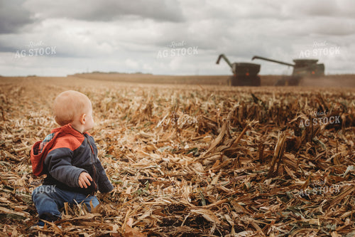 Combine Harvesting Corn and Unloading On the Go onto Auger Wagon with Farm Kid 3333