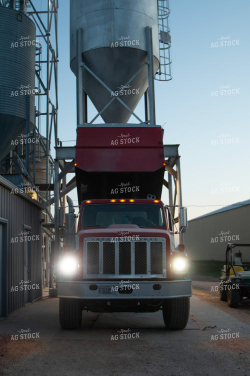 Unloading Grain 157268
