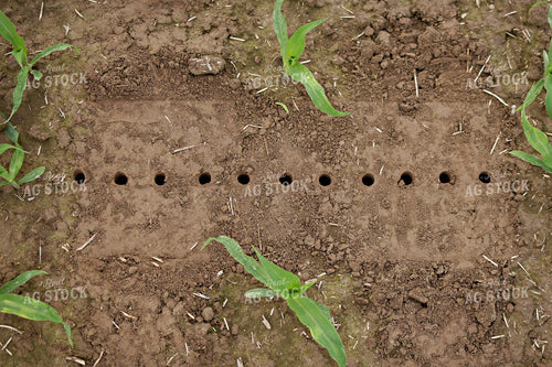 Soil Sampling 100061
