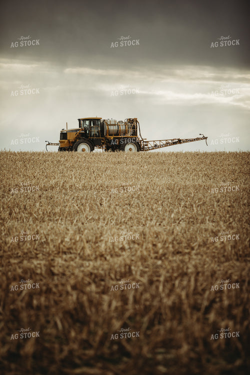 Self Propelled Sprayer Spraying in Corn Field 3662