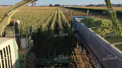 Chopping Corn Silage Drone 56326
