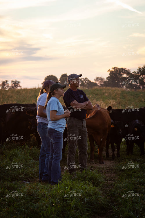 Cattle Producers Checking Herd 268374