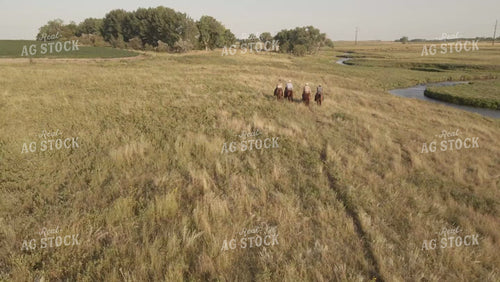 Ranchers on Horseback Moving Cattle in Pasture Drone 6538