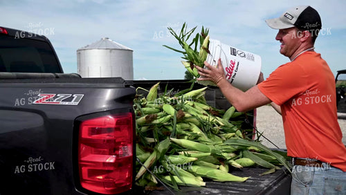 Family Shucking Sweet Corn - 252