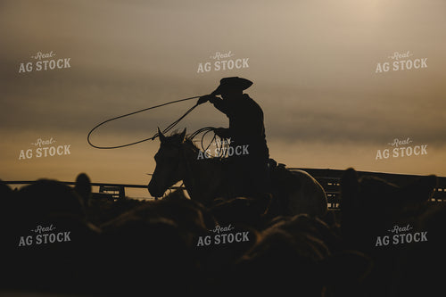 Roping 219000