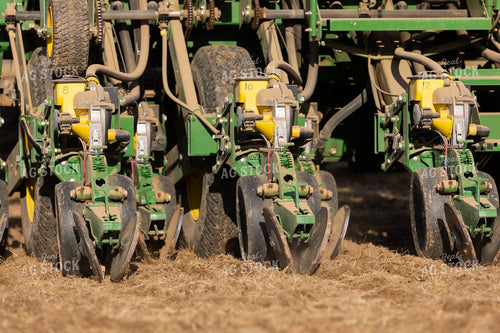 Planter Close Up 52382