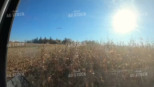 Time Lapse Corn Harvest 161149