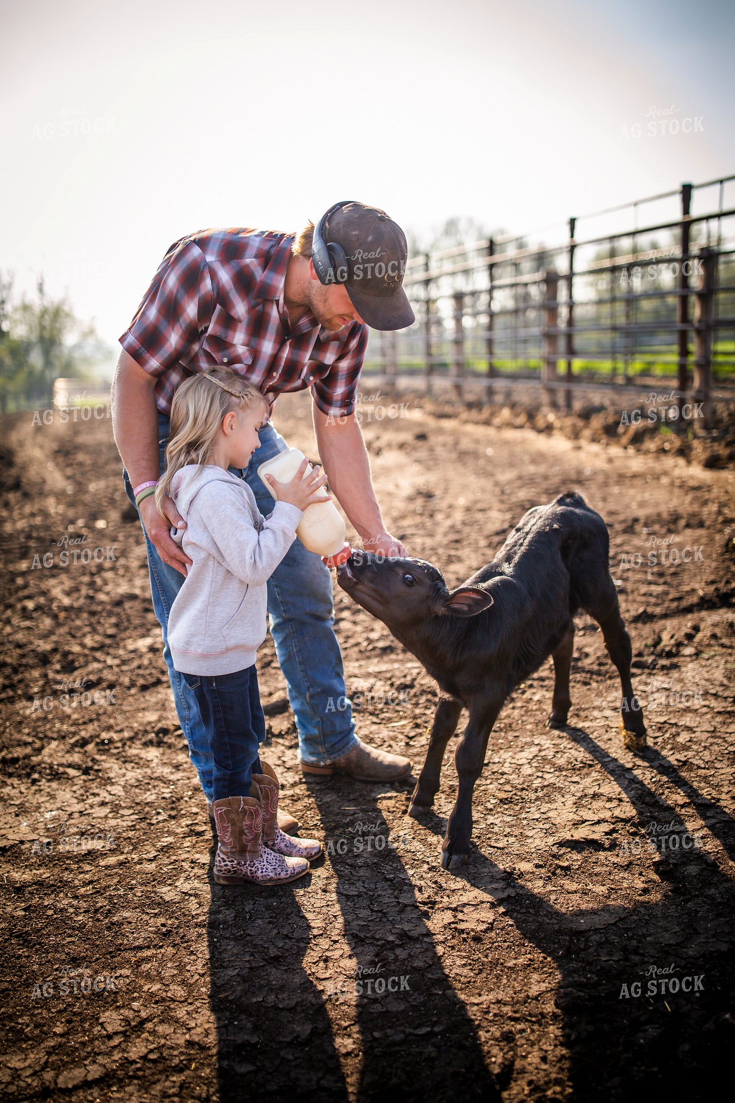 Rancher and Daughter Feeding Calf 285033