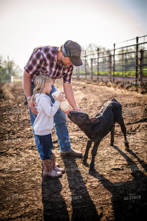 Rancher and Daughter Feeding Calf 285033
