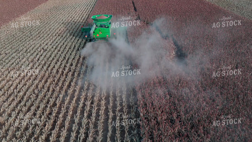Milo Harvest 239429