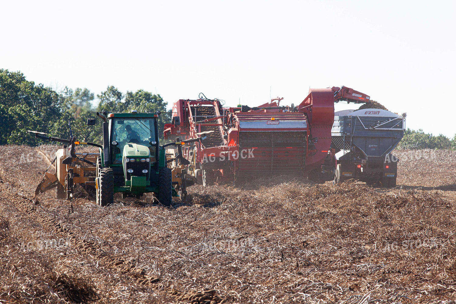 Potato Harvest 132203