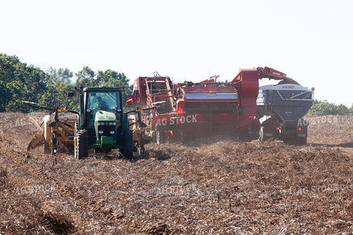 Potato Harvest 132203