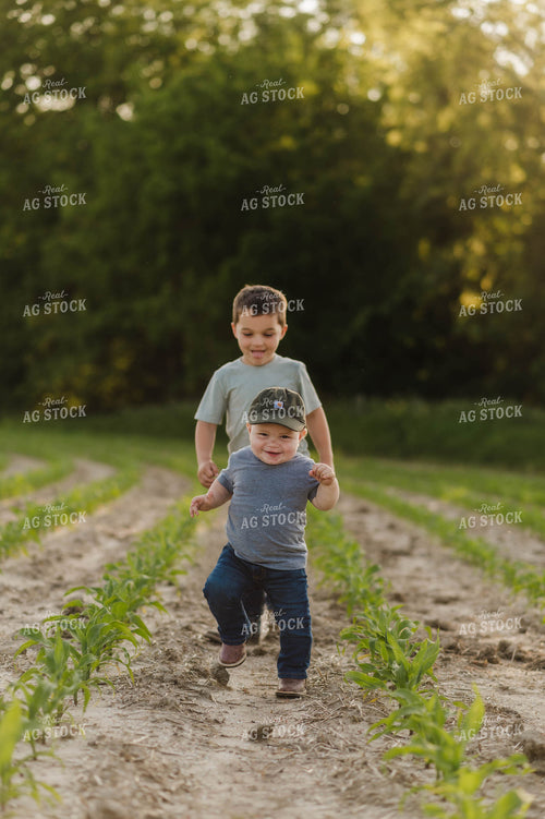 Farm Kids Running in Early Growth Corn Field 115054
