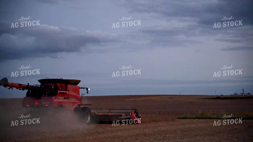 Harvesting Soybeans on Flat Ground - 523