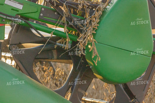 Soybean Harvest Close Up 291124