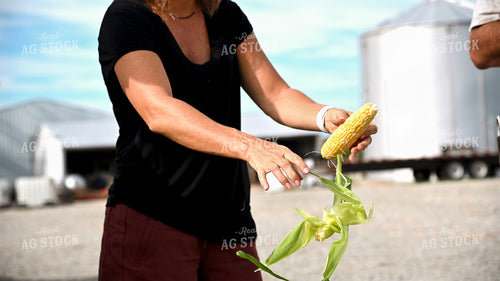 Family Shucking Sweet Corn 25266