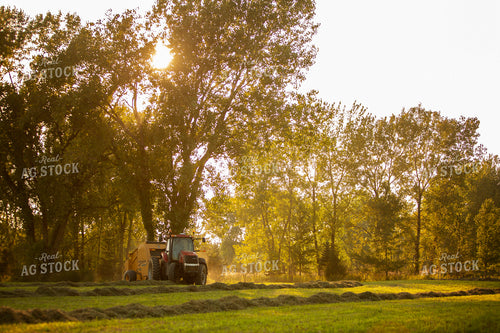 Tractor Baling Hay with Sun Coming through the Trees 5508