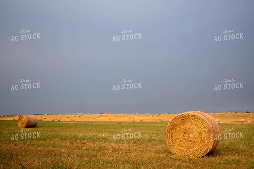 Hay Bales 185087