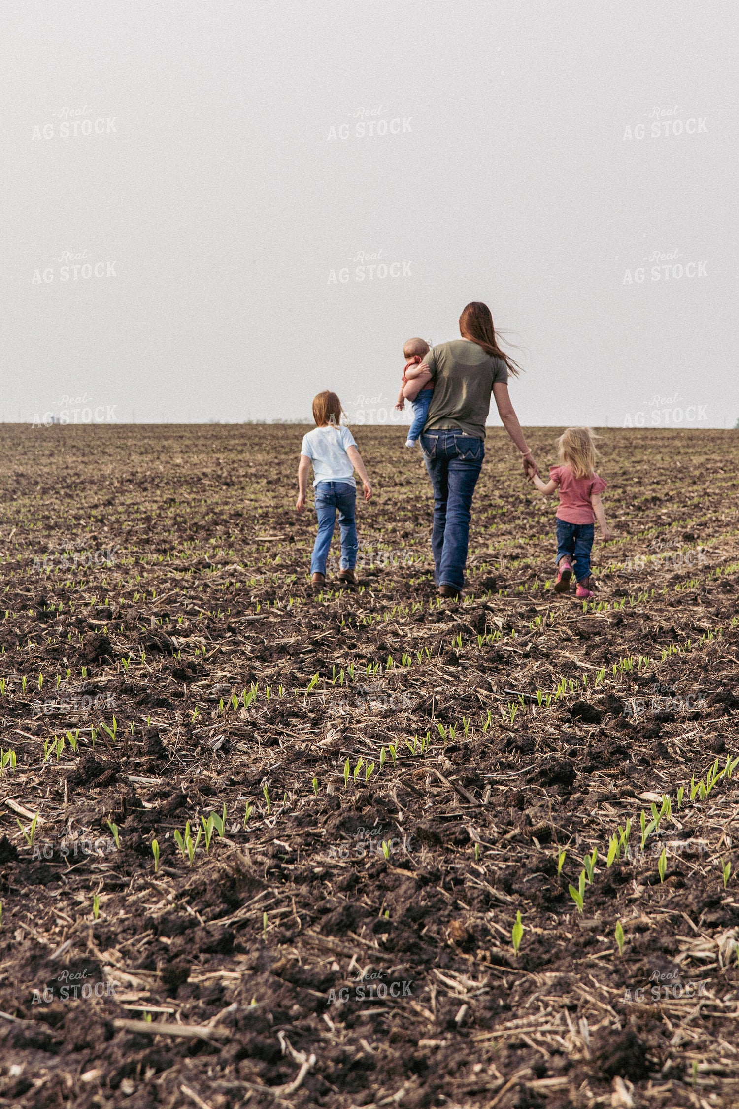 Female Farmer and Daughters Play in Emerging Corn Field 67289